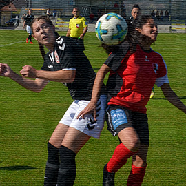 Dorf - LSC Linz