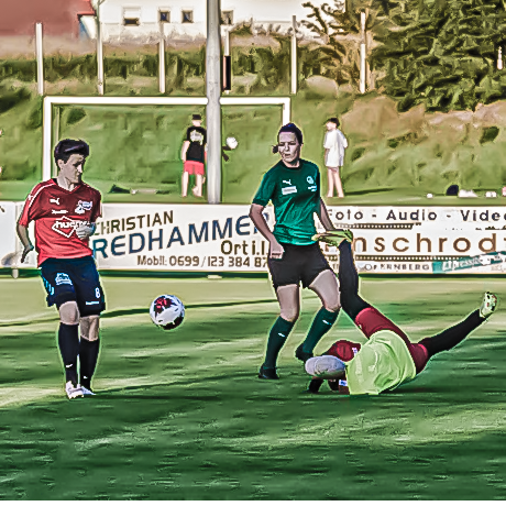 Ried-Dynamo Donau (F)